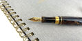delta_39_plus_1_anniversary_fountain_pen_nib_showing
