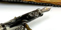 tibaldi_bononia_limited_edition_divine_fountain_pen_nib