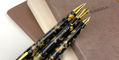tibaldi_bononia_black_gold_all_3