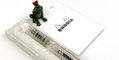 ranga_designer_demonstrator_fountain_pen_capped