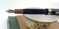 sailor_professional_gear_christmas_pudding_slim_fountain_pens_nib