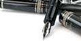 maiora_limited_edition_foresta_nera_fountain_pen_flex_nib