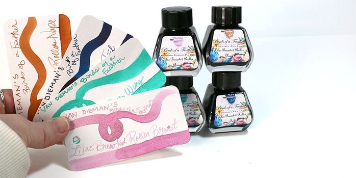 van_diemans_birds_of_a_feather_lilac_breasted_roller_inks