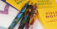 stipula_davinci_capless_fountain_pens_july_2026_releases