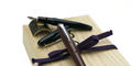 platinum_iro_urushi_fountain_pens