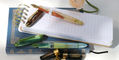nahvalur_horizon_gaia_and_desert_fountain_pens