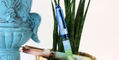 nahvalur_horizon_habitat_and_wonderland_fountain_pens