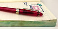 sailor_1911s_special_edition_jellyfish_fountain_pens_japanese_sea_nettle