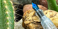 magna_carta_decade_in_the_desert_fountain_pens_blue_nib