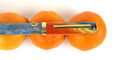 nahvalur_exclusive_citrus_skies_nautilus_fountain_pens