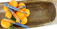 nahvalur_exclusive_citrus_skies_nautilus_fountain_pens_on_tray