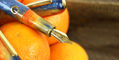 nahvalur_nautilus_citrus_skies_fountain_pen_exclusive