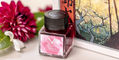 visconti_van_gogh_flowering_plum_orchard_fountain_pens_with_ink