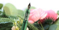 ferris_wheel_press_aluminum_carousel_book_of_botany_fountain_pen_nib