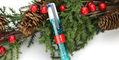 benu_limited_edition_christmas_euphoria_twinkle