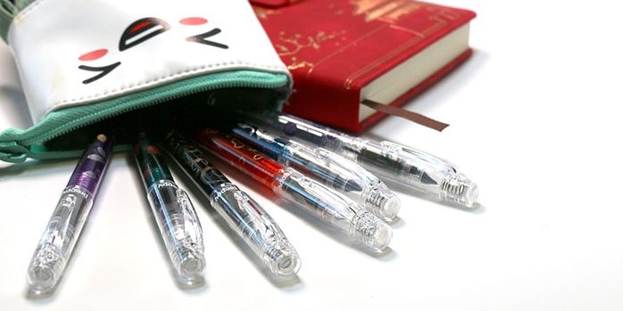 platinum_preppy_wa_maki_e_limited_edition_2nd_edition_fountain_pens