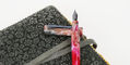 hinze_b24_lets_flamingo_fountain_pen