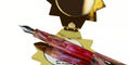 hinze_b24_lets_flamingo_fountain_pen_on_mirror