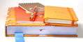 pelikan_m200_orange_delight_fountain_pen_finial