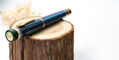 delta_indigenous_people_sentinelesi_fountain_pens_capped_on_stump