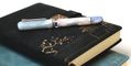 nahvalur_cherry_blossom_voyage_fountain_pens