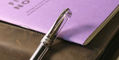 pineider_avatar_ur_mini_rollerball_pen_lux