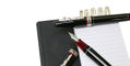 maiora_hippocratica_rollerball_with_fountain_pen