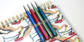 pineider_avatar_art_shiny_ballpoint_pens_on_notebook