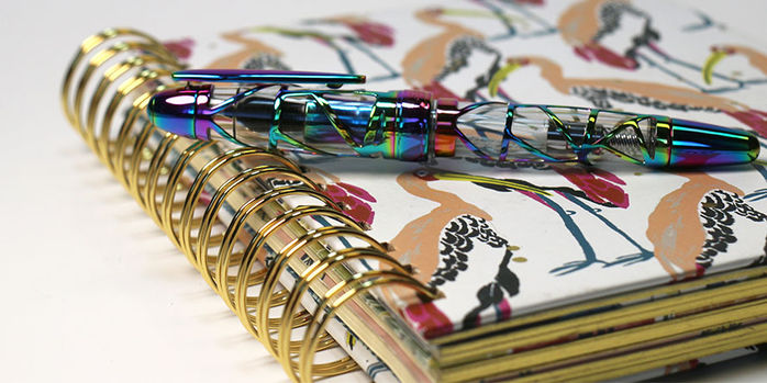 laban_rainbow_skeleton_fountain_pens_capped