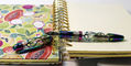 laban_rainbow_skeleton_fountain_pens_capped_nib