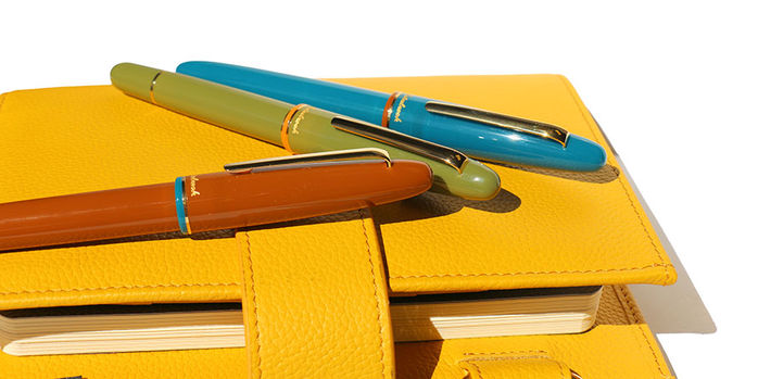 esterbrook_back_to_the_lands_fountain_pens_capped