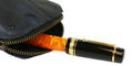delta_dv_original_oversize_rollerball_pens_in_sharK_zipper_case