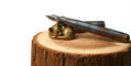 sweet_and_sassy_brassy_cat_pen_rests_curled_up