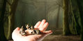 sweet_and_sassy_brassy_cat_pen_rests_on_top_20_halloween_pick_list