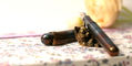 sweet_and_sassy_brassy_cat_pen_rests_playful_cat_pen_rest