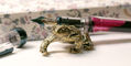 pen_chalet_sassy_brassy_frog_pen_rest_up_close