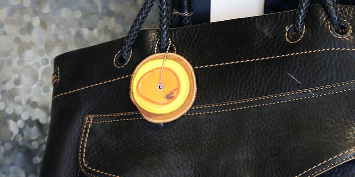 esterbrook_back_to_the_land_nib_wipes_hooked_on_Coach_briefcase