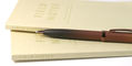 sheaffer_100_coffee_edition_ballpoint_pen_on_notebooks
