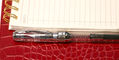 pineider_la_grande_bellezza_classic_demo_pen_capped