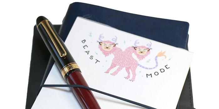 platinum_3776_favorite_things_coffee_jelly_fountain_pen_capped_on_notebooks
