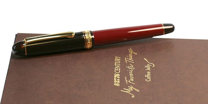 platinum_3776_favorite_things_coffee_jelly_fountain_pen_capped_on_pen_box