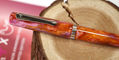 nahvalur_schuylkill_breast_cancer_awareness_fountain_pen_capped
