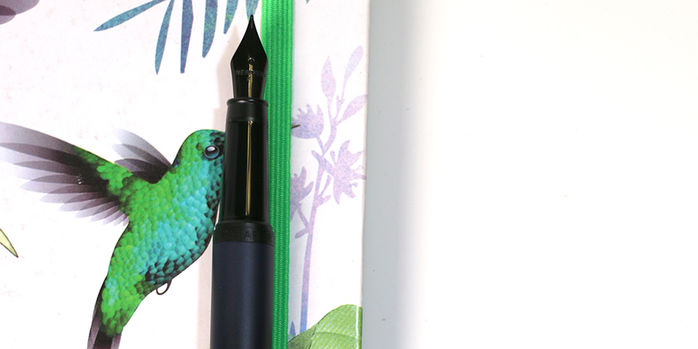sheaffer_vfm_fountain_pen