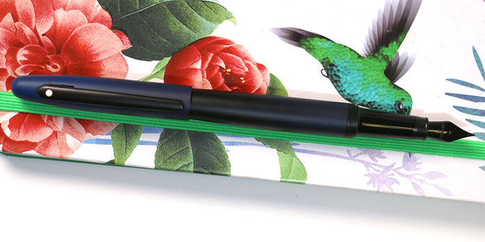 sheaffer_vfm_fountain_pen_posted