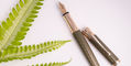 waldmann_imagination_tango_olea_fountain_pen_with_plant