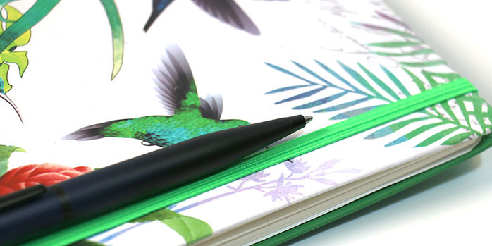 sheaffer_vfm_ballpoint_pen_on_notebook