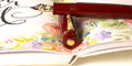 delta_bio16_corallo_fountain_pens_nib_showing