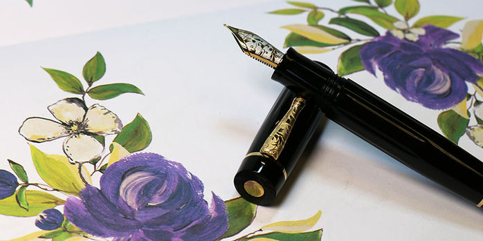 delta_bio_16_fountain_pens_stainless_steel_nib