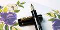 delta_bio_16_fountain_pens_14kt_nib_no.6_size