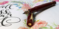 delta_bio_16_fountain_pens_14kt_nib_no.6_size_showing_nib